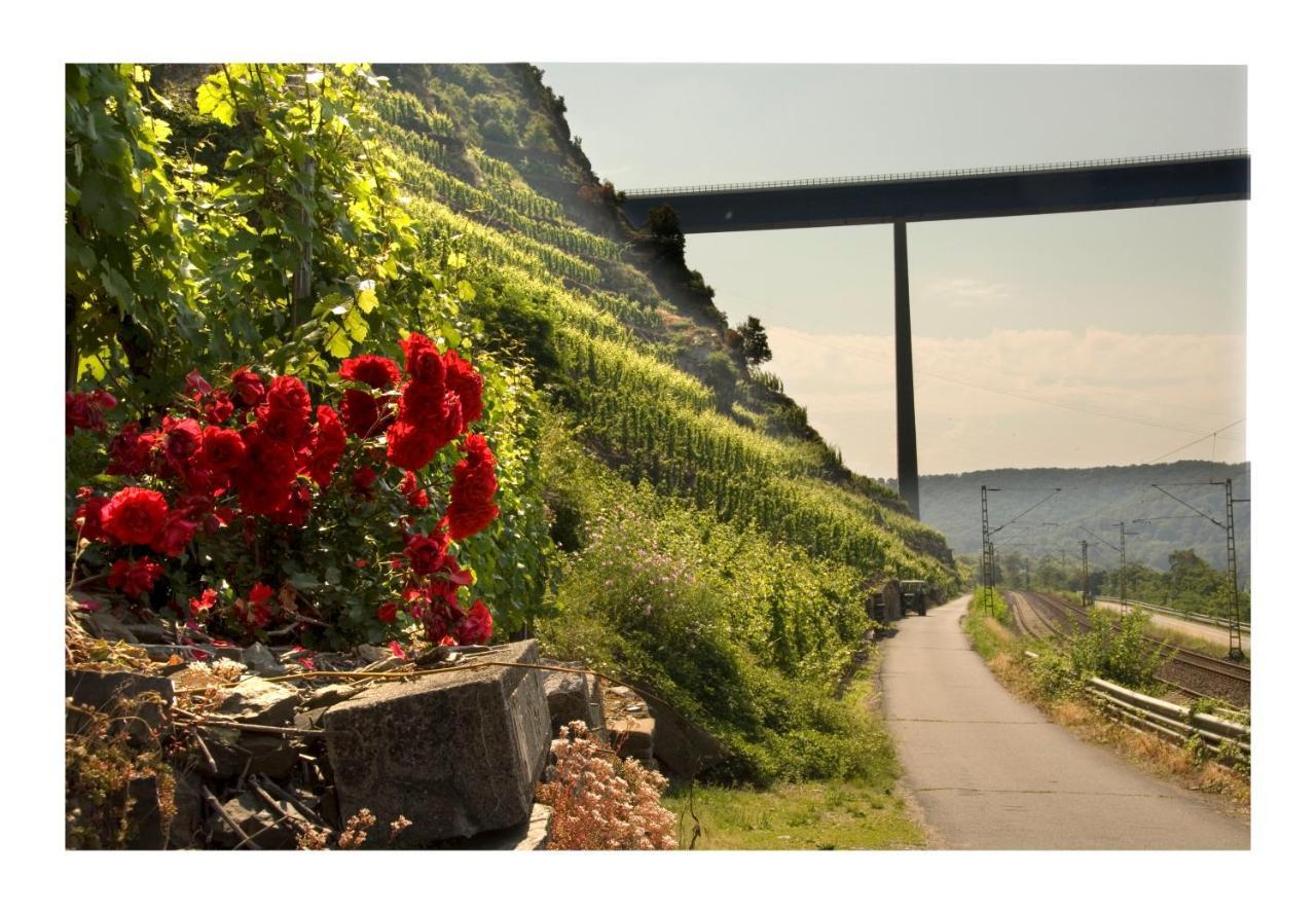 Alkener Elfenhaus Mit Kostenlosen Gaeste Ticket Exterior foto